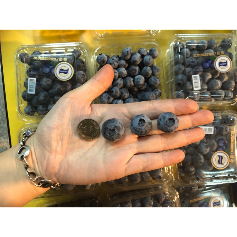 智利藍莓12入盒裝限時特價