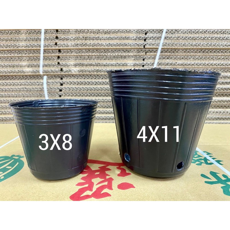 3寸 4寸黑軟盆育苗盆100個 1組 蝦皮購物