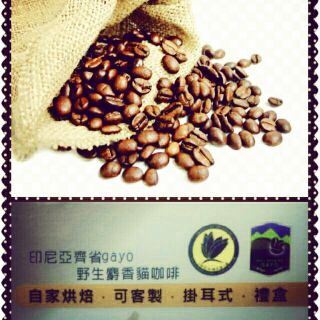 頂級印尼野生麝香貓莊園咖啡豆濾掛 原產地 空運咖啡豆（可加牛奶.煉乳）