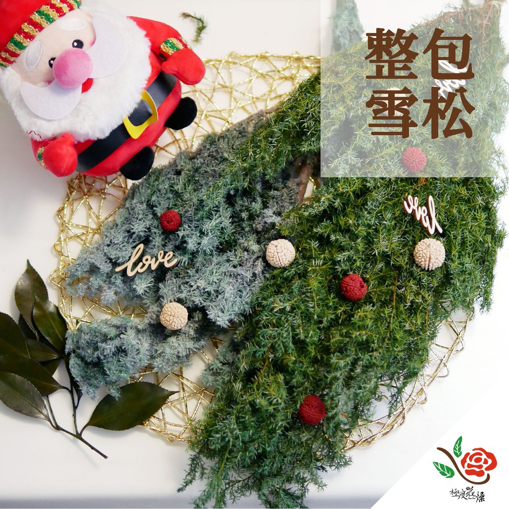 大地農園永生雪松原裝包台灣現貨 極度花燥 永生雪松諾貝松聖誕樹花圈葉材乾燥花整包永生花聖誕節 蝦皮購物