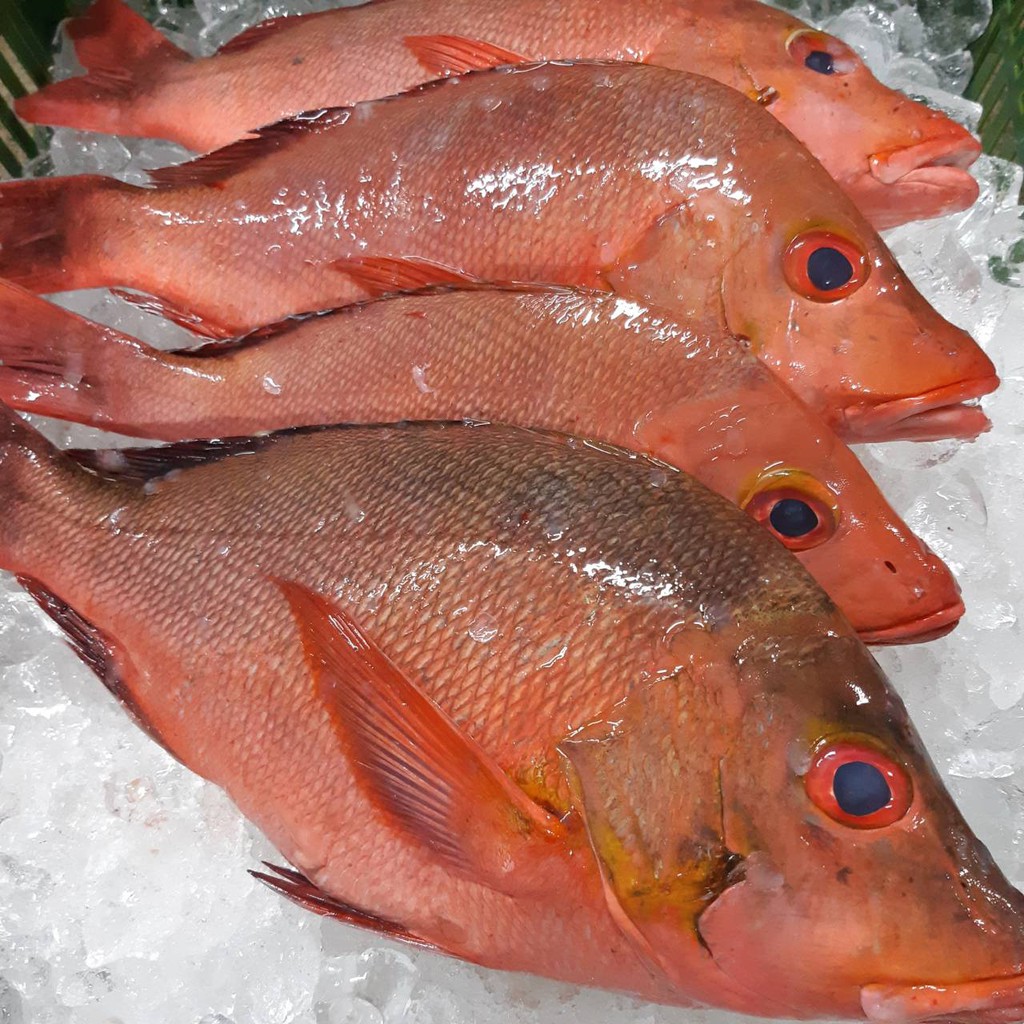 海鮮7 11 野生赤海魚10 11兩殺清急速冷凍 肉質厚實彈牙 魚皮非常q彈 每隻150元 蝦皮購物