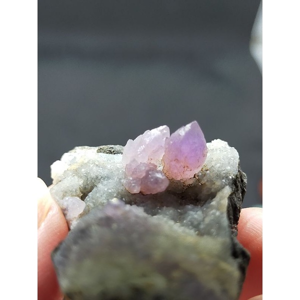 印度 蓮花水晶 紫水晶牙 礦標感