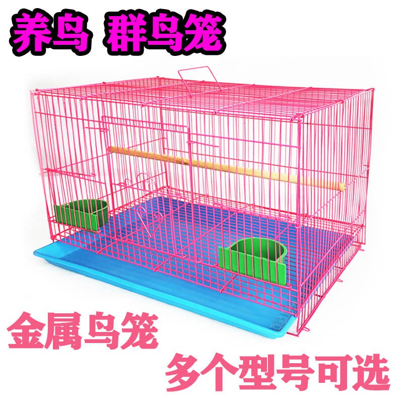 現貨 鳥籠子鴿子籠養殖籠大號超大大鳥籠裝鳥虎皮鸚鵡籠子家用繁殖籠豪華大型鳥籠八哥籠大號金屬牡丹鹩哥繁殖籠黑色平頂大
