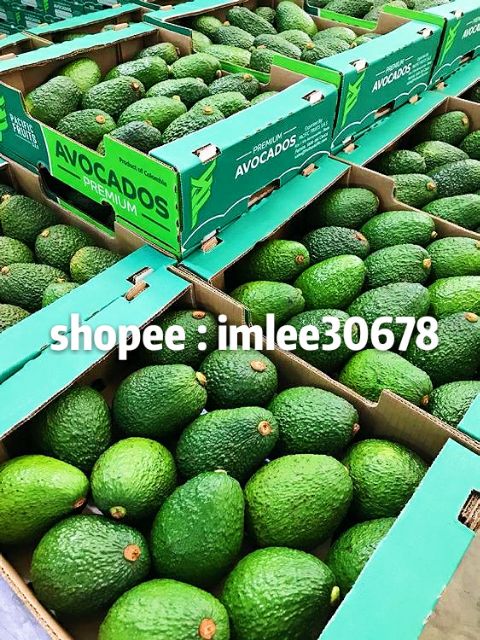 超級食物 進口酪梨hass Avocado 生酮飲食 蝦皮購物