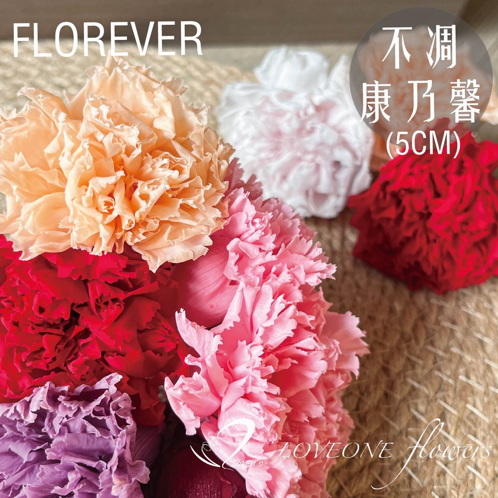 【快速出貨】日本Florever-FL1100康乃馨｜母親節花材｜永生康乃馨｜🌸LoveOneFlowers🌸