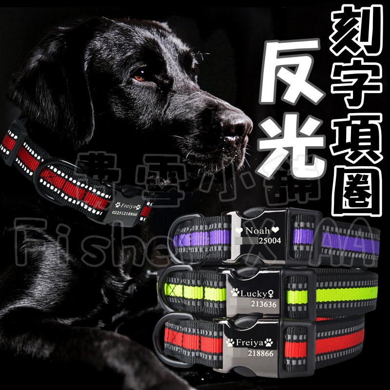 費雪小舖 客製化反光刻字狗狗貓咪項圈中大型犬金屬合金安全插扣項圈寵物個性頸圈夜晚防走私狗牌貓牌免費刻字送鈴鐺