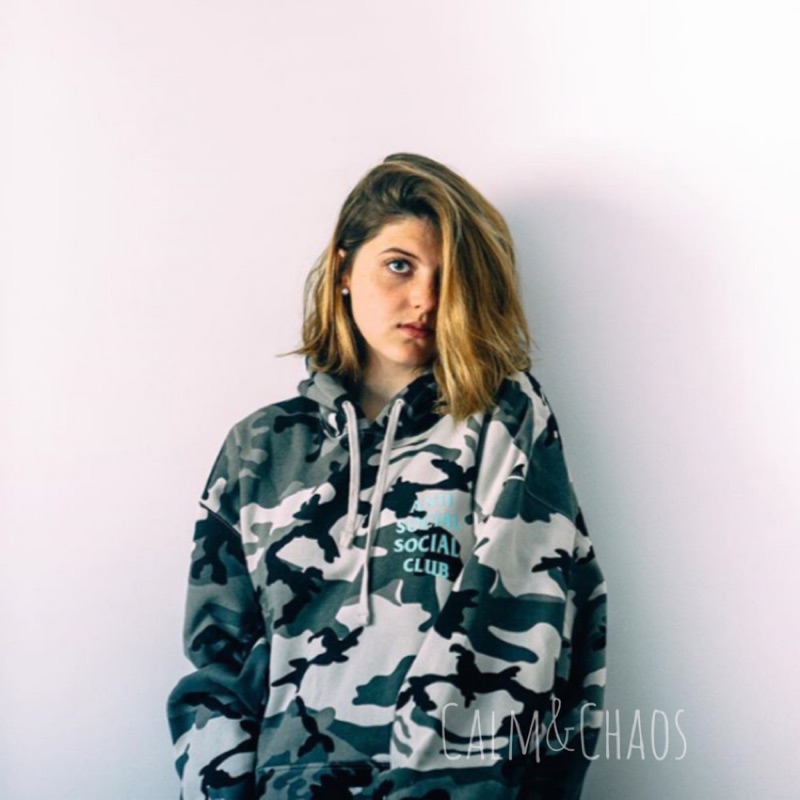 assc melrose ave hoodie