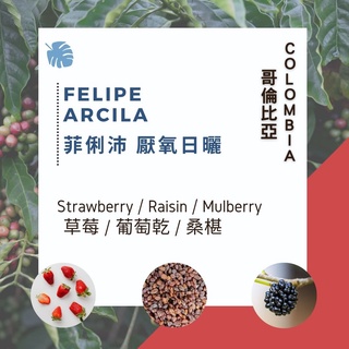 [Wolflow Coffee] 微批次 哥倫比亞日曬厭氧 菲俐沛 Colombia, Felipe Arcila