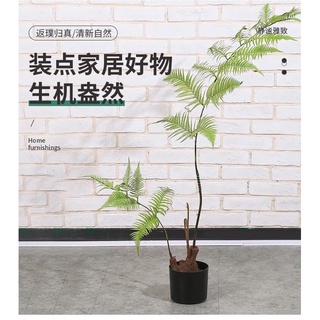 ❤️宅配免運費❤️模擬猴頭蕨 金毛狗蕨 假樹 室內中式園林系 庭院造景 裝飾綠植物 盆栽景觀植物