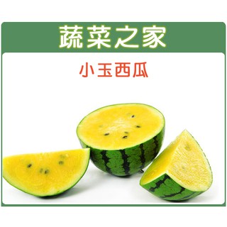 蔬菜之家滿額免運【00I02】大包裝.小玉西瓜種子2.5克(約50顆)