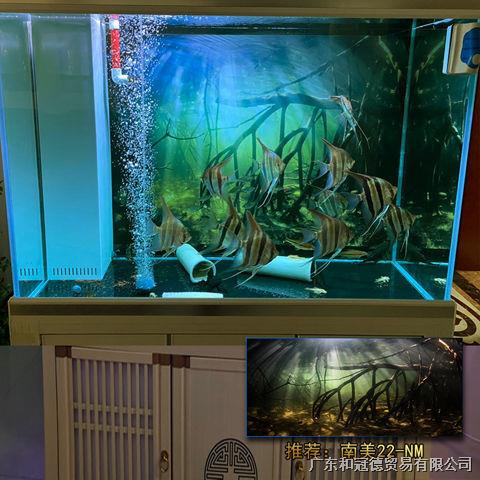 魚缸壁紙 優惠推薦 21年10月 蝦皮購物台灣