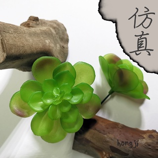 多肉 模擬多肉 P92 微景觀 假多肉植物 攝影佈置商店擺飾居家裝飾辦公室小物拍照道具木頭底座咖啡屋盆栽