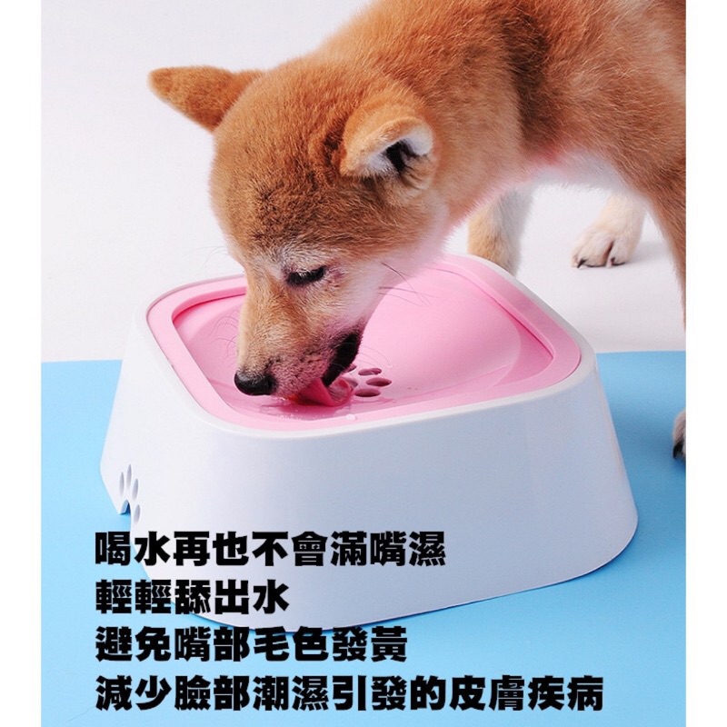 台灣現貨寵物喝水碗漂浮水碗不濕嘴喝水盆飲水碗貓咪喝水碗狗狗喝水碗不沾濕防濺水不沾嘴大容量可拆分