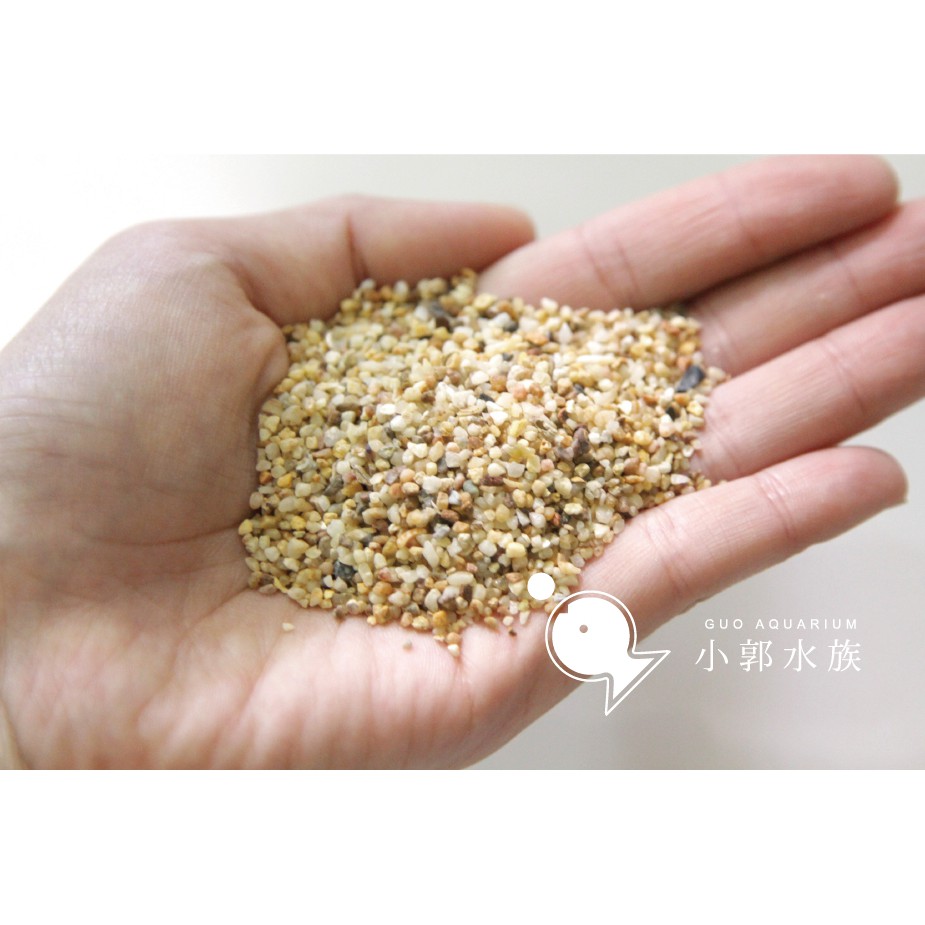 小郭水族-【新美國矽砂 1KG (不含貝殼砂)】水草細砂/美國細沙 (不含貝殼砂