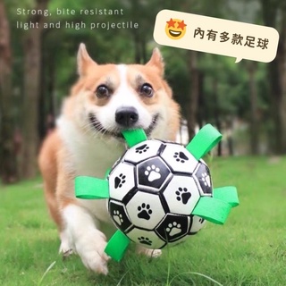Chëer Tail ՞•ﻌ•՞ 現貨⚽️狗狗的快樂足球(贈打氣筒) 寵物互動足球玩具 尼龍足球玩具球 狗狗彈力球玩具