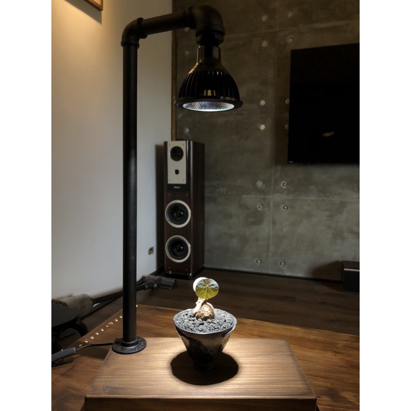 Amaterasled 植物燈植物燈座燈座e27 工業風北歐輕工業srl Neighborhood 蝦皮購物