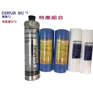 EVERPURE Everpure BH2/BH2取代S100 S104 H104 H100 .樹脂濾芯一年份濾芯