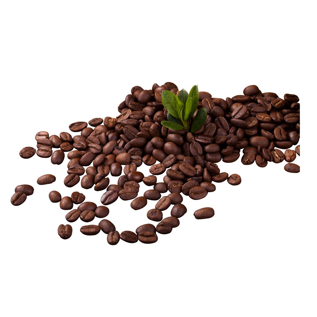 衣索比亞精品咖啡豆 / 耶加雪菲