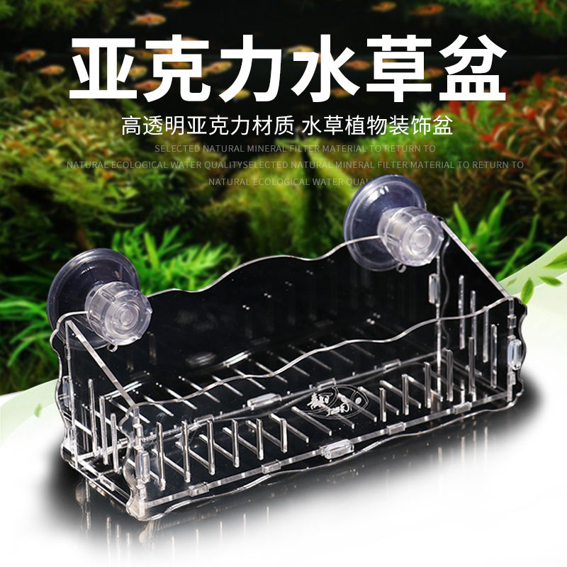 水草杯吸盤的價格推薦 21年6月 比價比個夠biggo