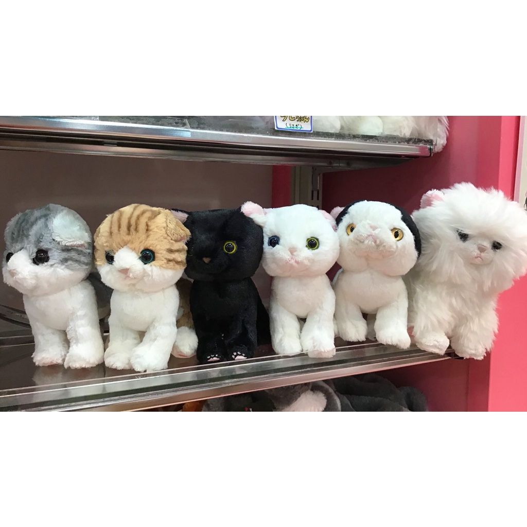 ✨班迪萌✨日本購正品sunlemon kitten小貓咪貓貓仿真玩偶公仔毛絨玩具貓
