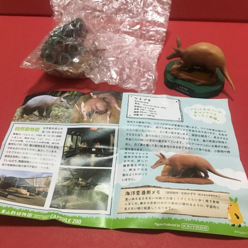 【轉蛋扭蛋】海洋堂 名古屋 東山動物園 東山動植物園 限定