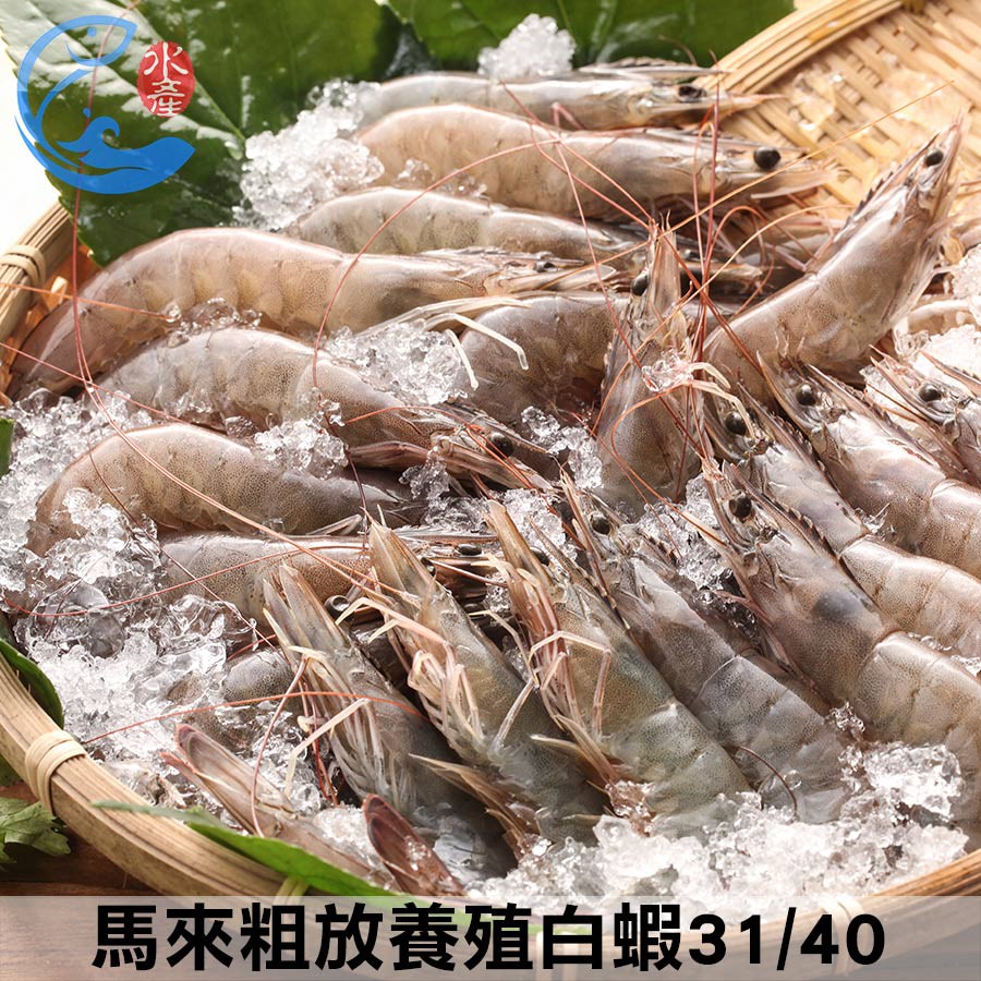 【佐佐鮮】馬來粗放養殖白蝦31/40_600g±10%/盒(約22-26尾)