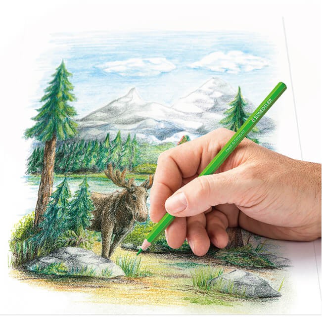 Staedtler 施德樓油性色鉛筆鐵盒裝 蝦皮購物