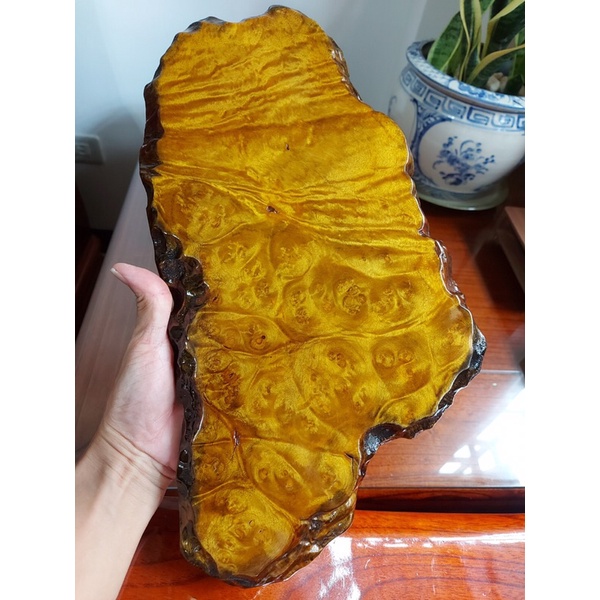 「玉佳緣」藝品 緬甸國寶 黃金樟 樹瘤 原木 茶盤 茶組 擺盤