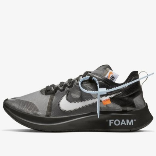 zoom fly 10