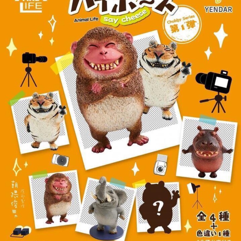 朝隈俊男animal Life 動物圓滾滾笑嘻嘻第一彈ハイポーズ公仔4隻ㄧ組 1隻隱藏版 蝦皮購物