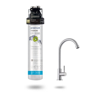 愛惠浦 強效碳纖維長效型淨水器 PurVive-EF3000 (大巨光)