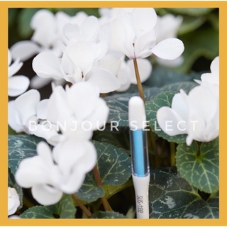 7送1！Bonjour Select sustee 土壤濕度計 植物水分計 水份檢測計 象牙宮 象足漆樹