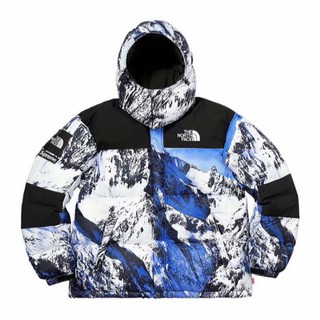 supreme the north face mountain parka