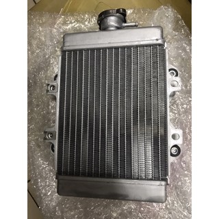 PGO摩特動力 彪虎125 150原廠水箱 主水箱 全鋁水箱 彪虎 地瓜 水箱 全鋁 原廠 PGO專賣店