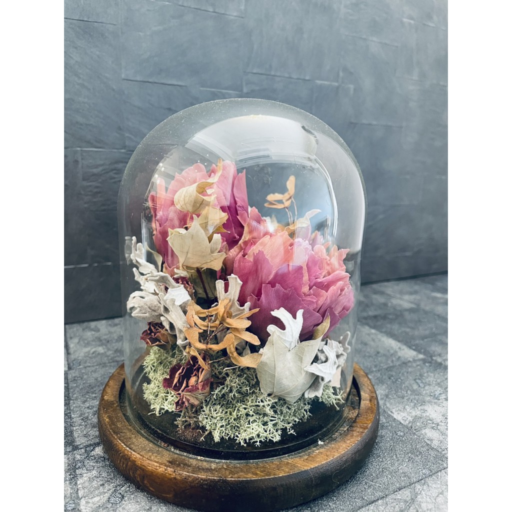 冷凍乾燥牡丹花花禮 蝦皮購物