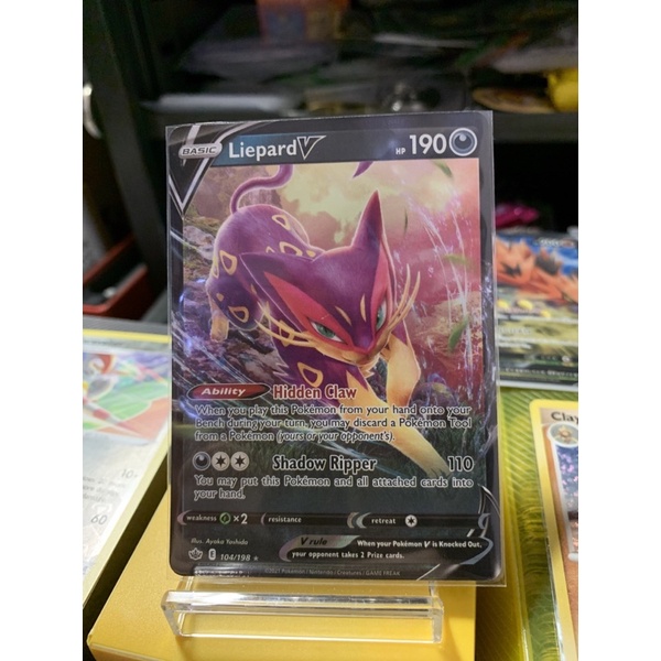 【菊草葉之家】PTCG 寶可夢集換式卡牌遊戲 美版 104/198 酷豹 寶可夢美版