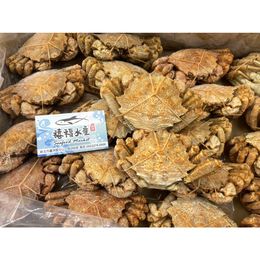 【禧福水產】日本北海道熟栗子蟹/佐藤公小毛蟹/螃蟹◇$特價299元/500±10%/2-3隻◇日本料理熱炒夜市小吃居酒屋