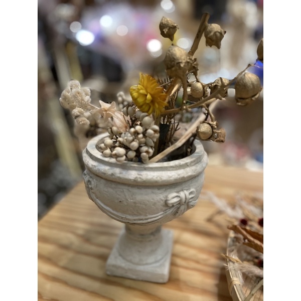 Jm花草夢 花器 花盆 冠軍杯 花器 拍照道具 竹北 蝦皮購物