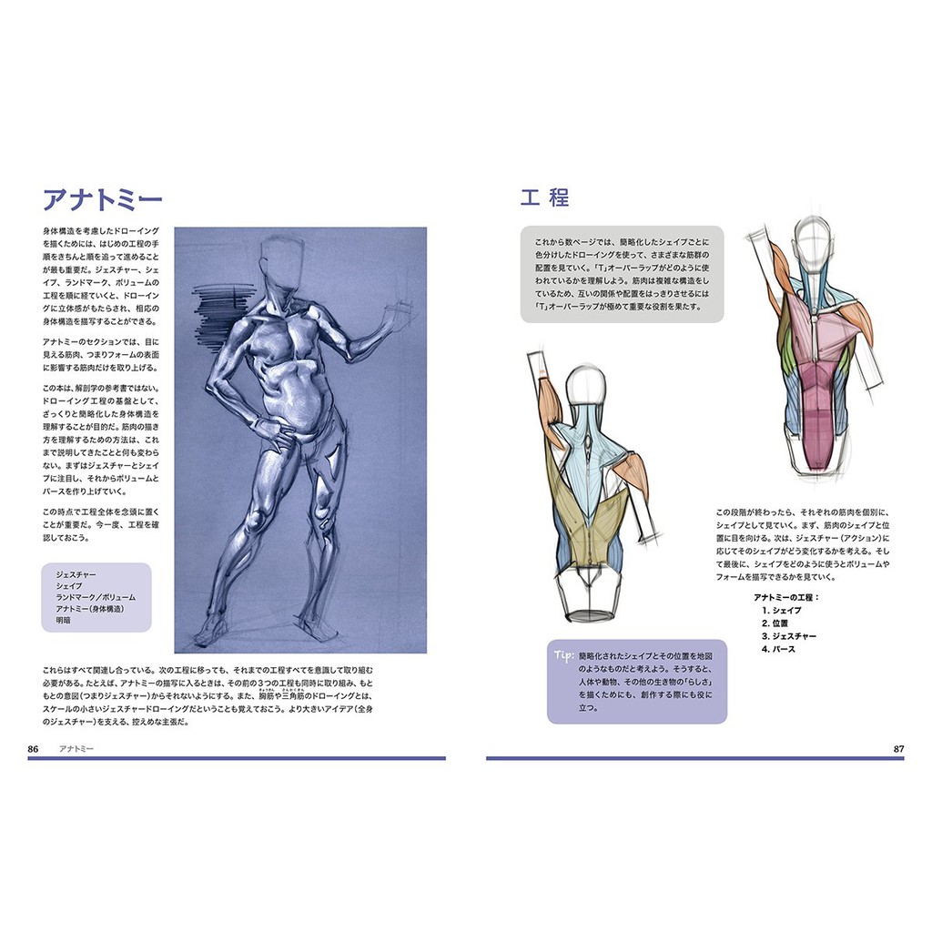 代訂 空運 日版書籍 人體姿態描繪技巧 日譯版 蝦皮購物
