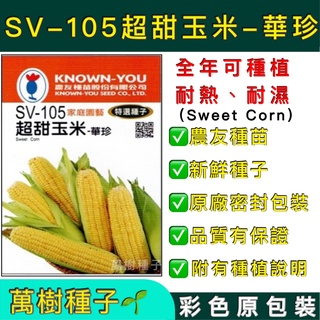 【萬樹種子】SV-105 超甜玉米-華珍 特選蔬果種子 農友種苗 彩色密封 原廠包裝