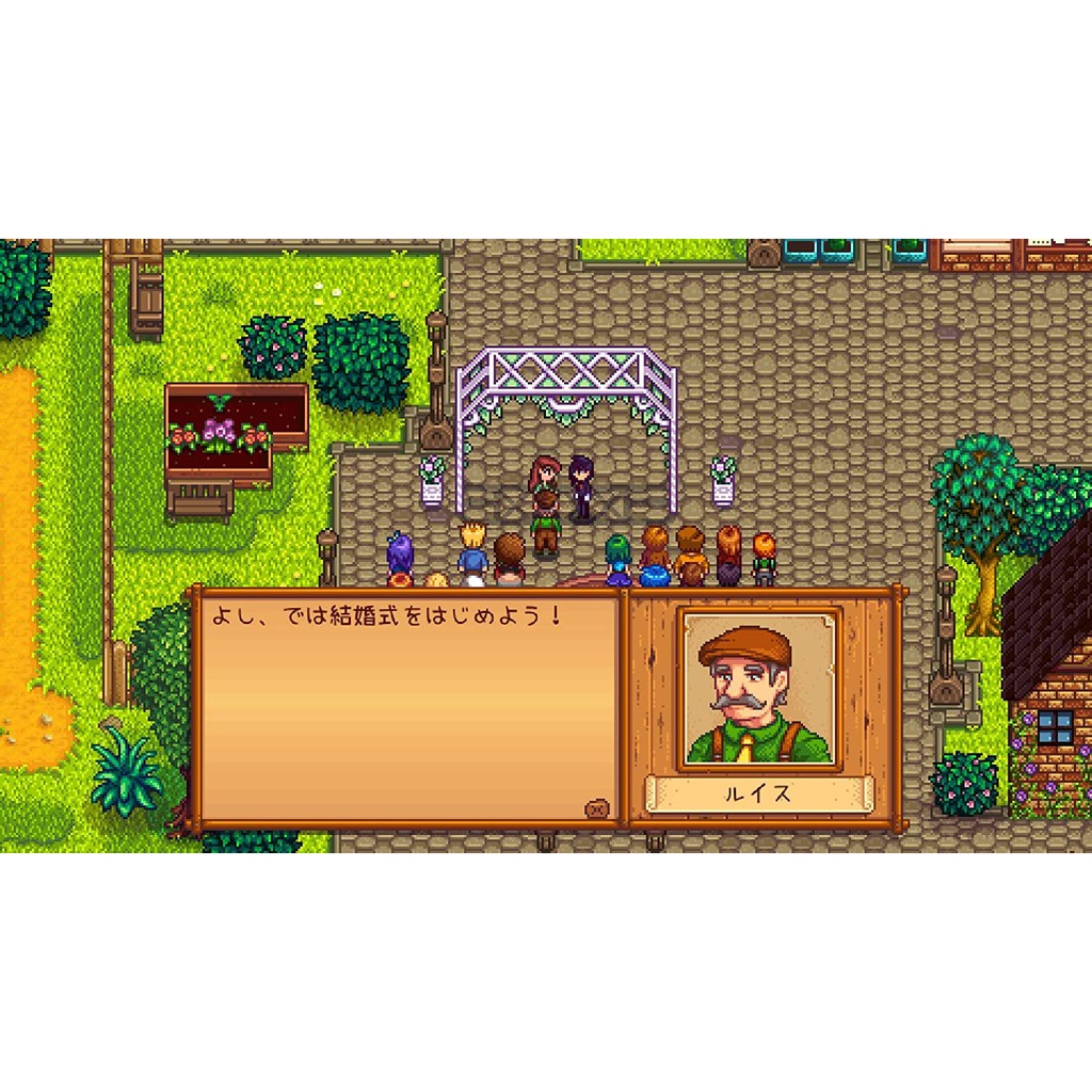 10 中文預定switch Ns游戲星露谷物語stardew Valley 星露谷牧場 蝦皮購物