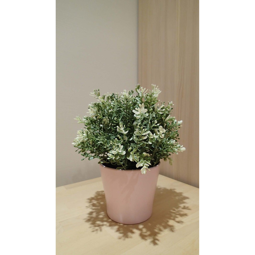 Ikea 花盆的價格推薦 22年9月 比價比個夠biggo