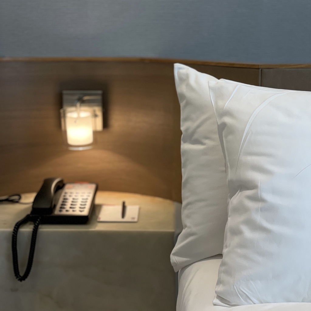 Sealy枕 新人首单立减十元 2021年12月 淘宝海外