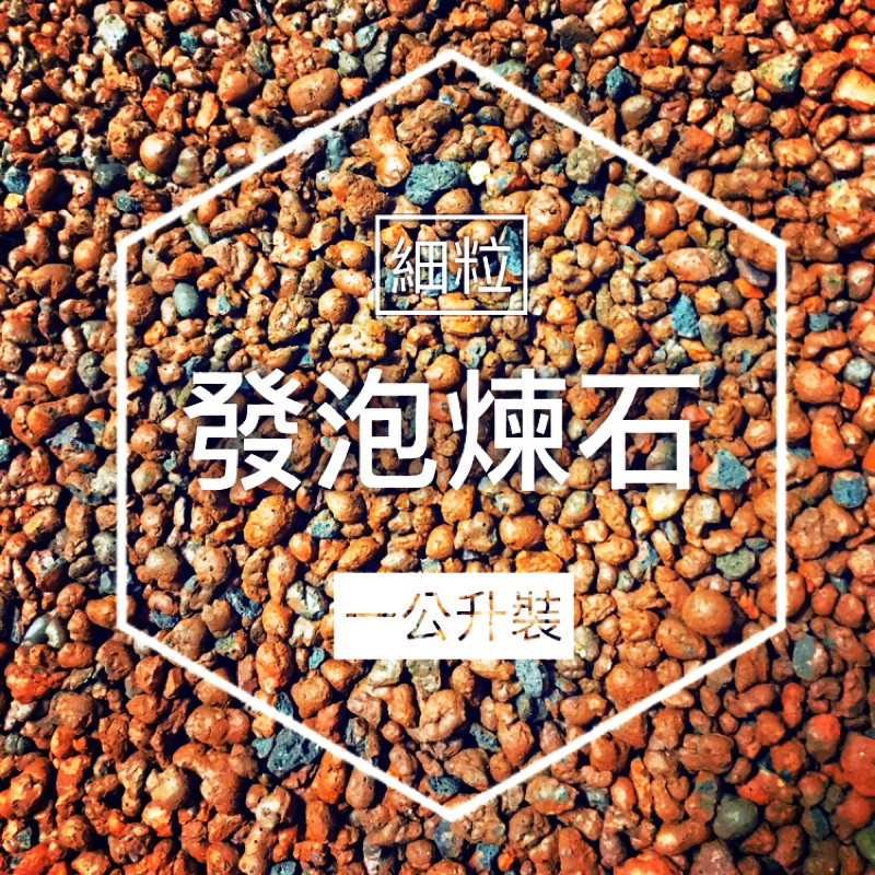 【小鮮肉肉】發泡 煉石-細粒(1/3/5L裝) 細粒 輕質陶粒/多肉植物介質
