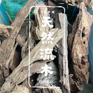 帥哥水族【天然流木】木材 造景 裝飾 昆蟲 爬蟲 水草 異形 躲藏 擺飾 (長10~25CM 隨機出貨) 流木 非沉木