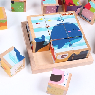 小候鳥9粒六面畫ZSB.35 兒童3D立體 海洋動物交通積木 早教拼圖玩具