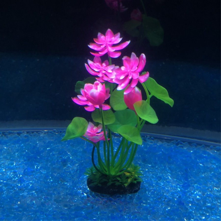 西紫坊 魚缸造景塑料花草小荷花仿真馬蹄蓮花中后景水草水族箱裝飾品 蝦皮購物