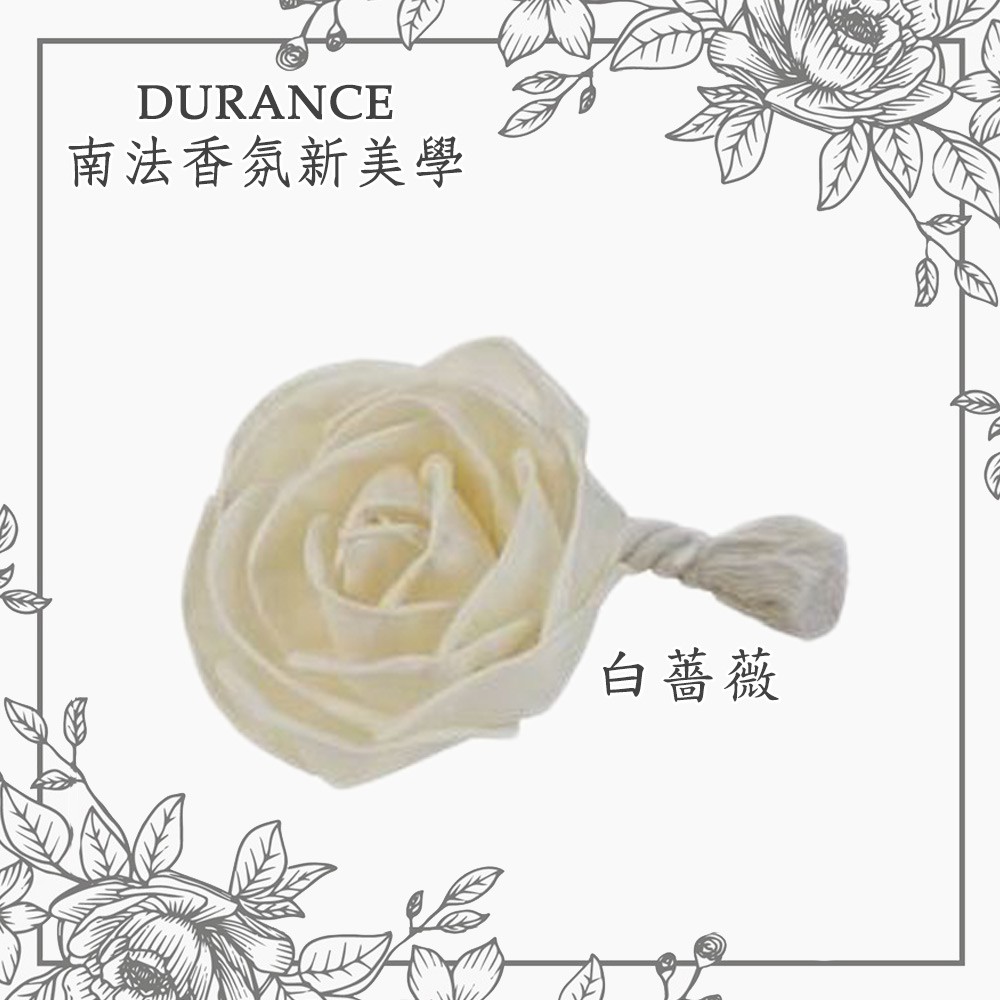 朵昂思花形補充擴香藤枝單入 玫瑰花白薔薇白山茶花梔子花 Durance 巴黎丁 蝦皮購物