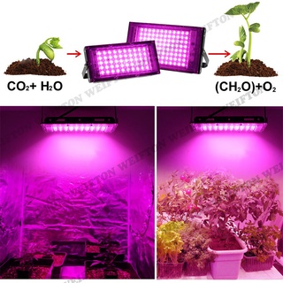 全光譜 植物生長燈 LED 植物燈 50W 100W 植物燈全光譜 太陽光 多肉植物燈 生長燈 多肉植物 LED植物燈