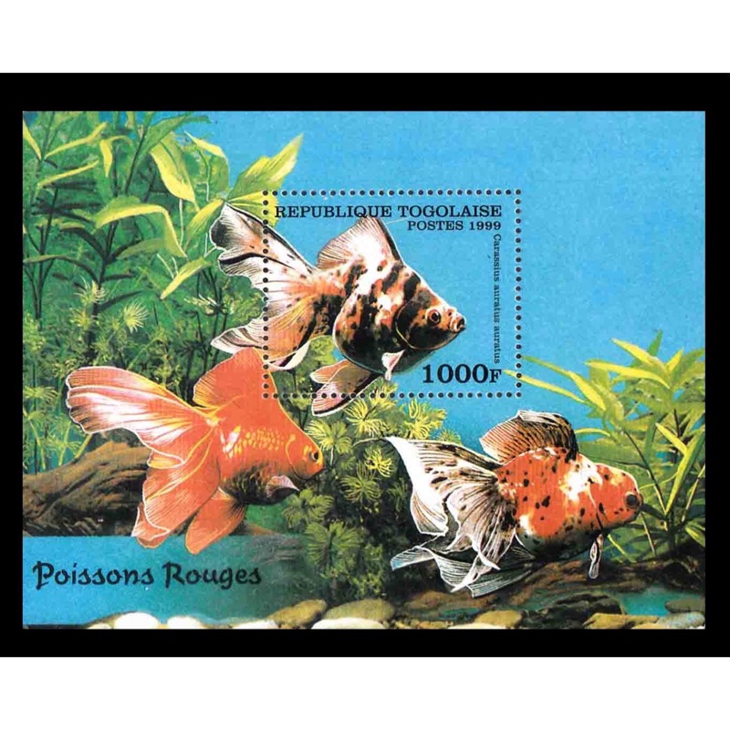 多哥共和國郵票1999 金魚小型張1全 蝦皮購物